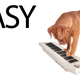 Illustration for article titled 7 Tools to Turn Your Dog Into a Pet of the Future